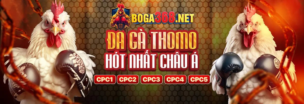 Đá Gà Trực Tuyến Hấp Dẫn tại kk777x