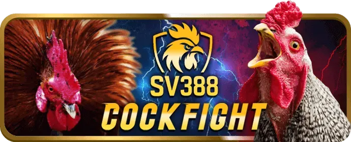 Cá cược bóng đá kk777x